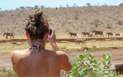 Le petit guide pratique pour réussir son safari Kenya 2022